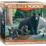 EUROGRAPHICS - Puzzle New Discoveries - 1 000 piese