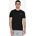 Champion Basic