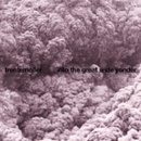 Into the Great Wide Yonder Trentemøller CD