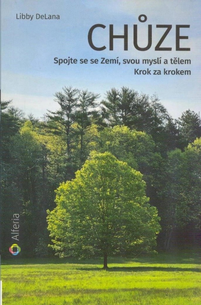 Chůze