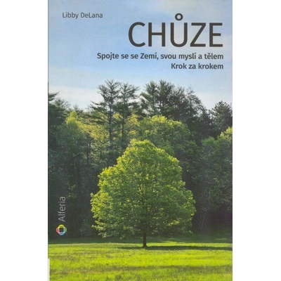 Chůze
