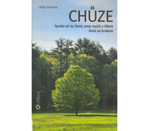 Chůze
