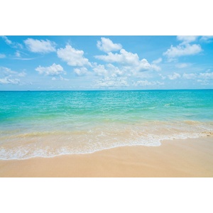 DIMEX ART Флизелинов фототапет тропически плаж и море 375 x 250 см
