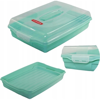 Curver Party Box s poklopom 45x29,5x11,1 cm mint 00415-Q29