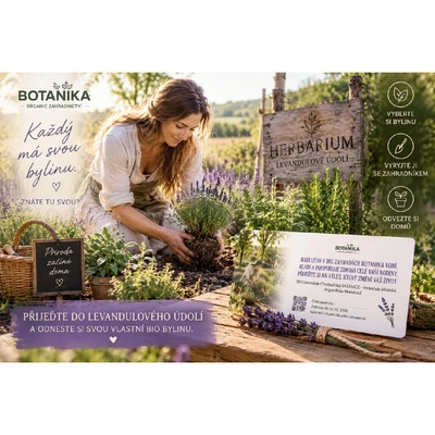 BIO Levandule Chodouňská Well-being zážitek a nákup biodynamických bylin ze zahrad Herbarium BIO sazenice: BIO Levandule Chodouňská