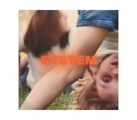 Prewn: System LP