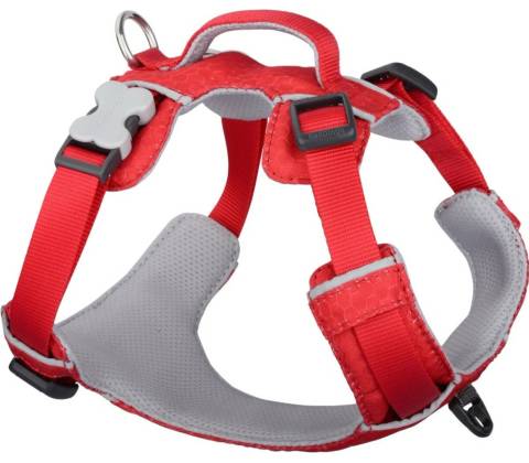 Red Dingo postroj Sport