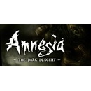 Amnesia: The Dark Descent