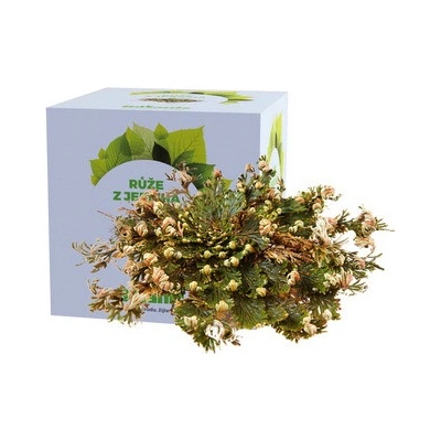 Botanic Růže z Jericha v krabičce 1ks