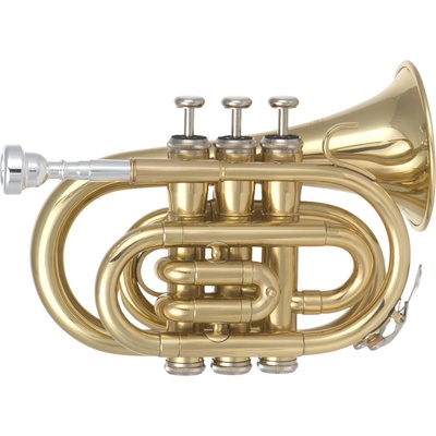 Latone LMT255 Bb Тромпет (LMT255)