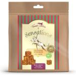 Terra Canis Sensations Training Wonders Пиле 90 г