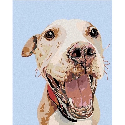 zuty Malování podle čísel Šťastný hafan 80 x 100 cm vypnuté plátno na rám
