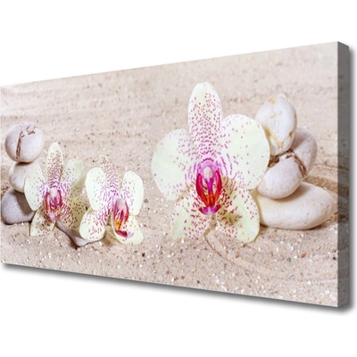 Obraz Canvas Orchidea kamene zen písek 100x50 cm