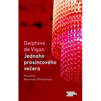 Jednoho prosincového večera - Delphine de Vigan