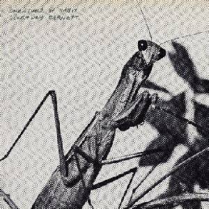 Courtney Barnett - Creature Of Habit (USA) (CD) (0810090098333)