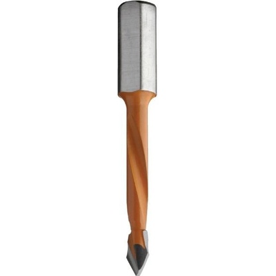 IGM C36705011