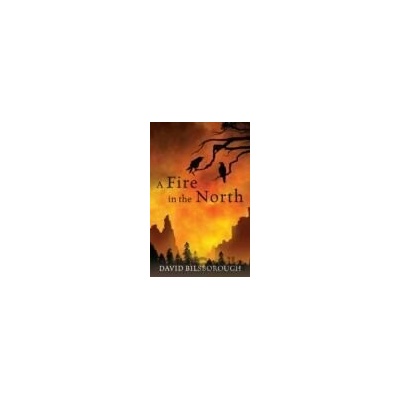Fire in the North, A - David Bilsborough