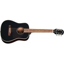 Epiphone J-45