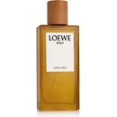 Parfumy Loewe Solo Mercurio parfumovaná voda pánska 100 ml