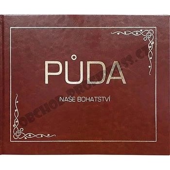 Edika Procvičujeme ruštinu