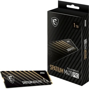 MSI SPATIUM M470 Pro 1TB (S78-440L0J0-P83)