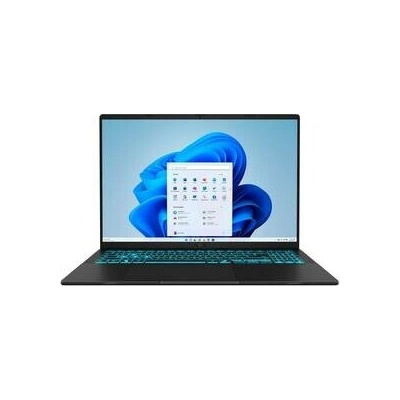 Asus V16 V3607VH-RP095W