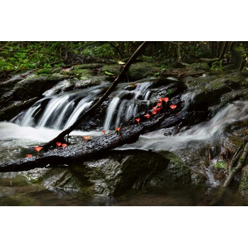 DIMEX ART s. r. o Флизелинов фототапет горски водопад 375 x 250 см