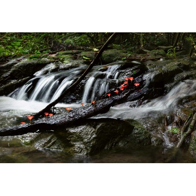 DIMEX ART Флизелинов фототапет горски водопад 375 x 250 см