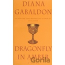 Dragonfly in Amber
