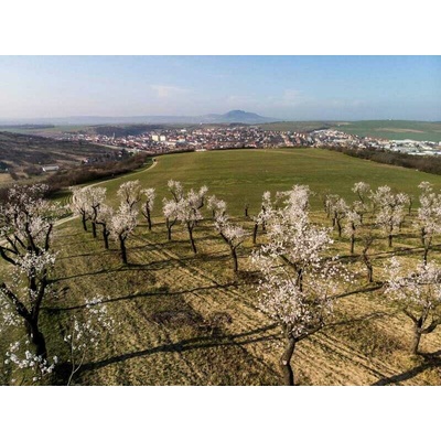 Pobytový balíček hotela Wine Wellness Hotel Amande: Som na dovolenke