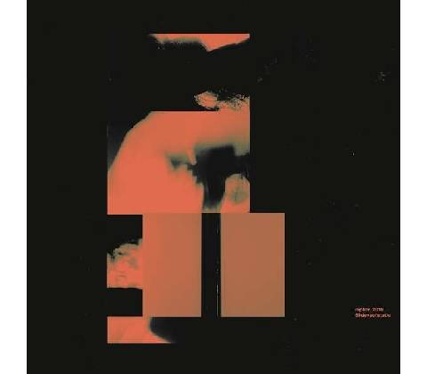 SIXTYFIVEDAYSOFSTATIC - REPLICR, 2019 CD