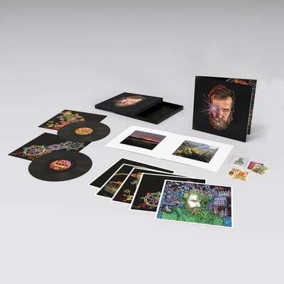 John Grant - Boy From Michigan (Box Set) (2 ) LP
