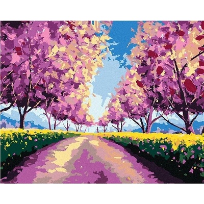 zuty Malování podle čísel Sakury na polní cestě 80 x 100 cm vypnuté plátno na rám