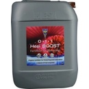 Hesi Boost 2,5 l