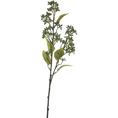 Kalina vavřínová - olivová (spray) 58 cm