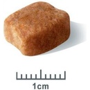 Royal Canin Dachshund Jazvečík 2 x 7,5 kg