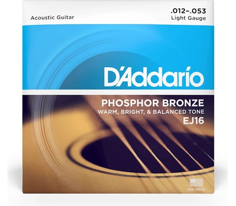 D'addario EJ16