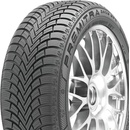Maxxis Premitra Snow WP6 205/55 R16 91H