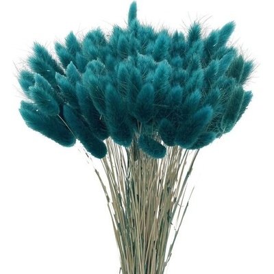 120 ks sušené pampasové trávy, dekorace – Zbozi.Blesk.cz