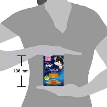 Felix Fantastic Junior kura v želé 26 x 85 g