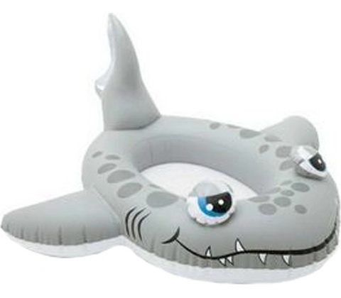 Intex Pool Cruisers
