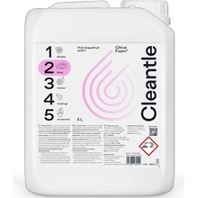 Cleantle Citrus Foam2 5 l