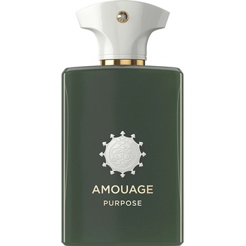 Amouage Purpose EDP 100 ml