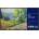 BenQ SL5504