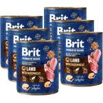 Brit Premium by Nature Агнешко с елда 6x800г