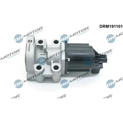 Dr.Motor Automotive AGR ventil DMA DRM191101
