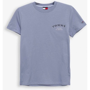 Tommy jeans Тениска tjw reg dollar stack tee ext (dw0dw22516-c5u)