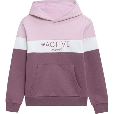 4F Jr HJL22 JBLD002 60S sweatshirt 101954
