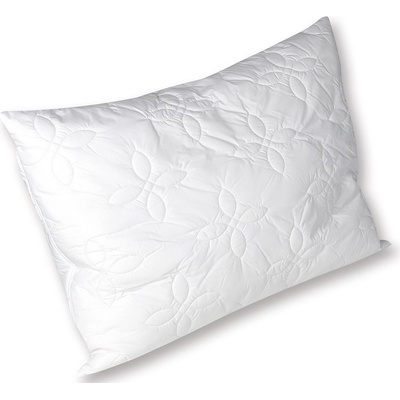 2G Vankúš Dreamfill 70x50 500g