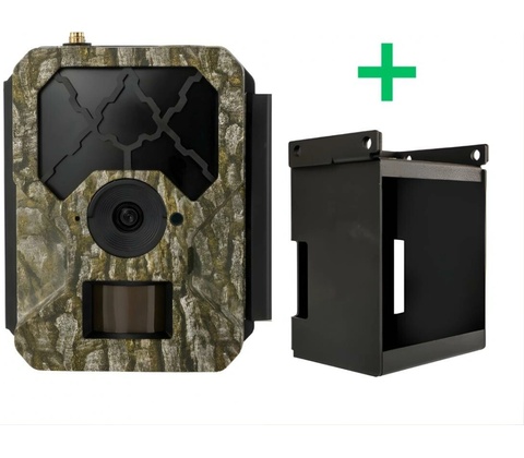 OXE Hornet 4G